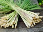 wo group of lemongrass for sale over wood background