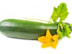 Zucchini with flower isolated on white background. Courgette with blossoms.