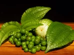 traditional-sundanese-raw-salads-leunca-solanum-nigrum-daun-pohpohan-pilea-melastomoides-round-eggplant-solanum-melongena_358675-987
