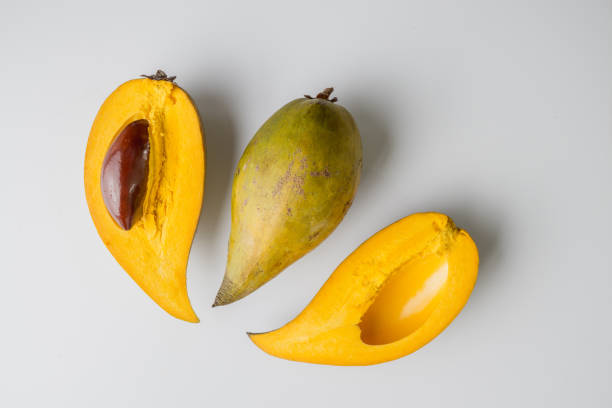 Pouteria campechiana fruit isolated on the gray background.