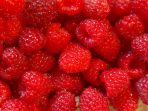 raspberries-fruits-fruit-berries-59999