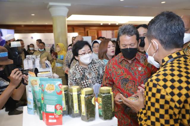 KKP Ajak Investor Garap Potensi Industri Pengolahan Rumput Laut 3