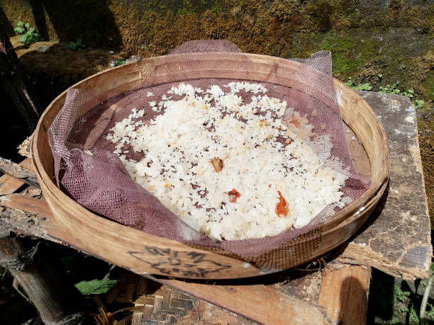 Rest of cocked rice,going to use for cattle fodder,drying under the sun