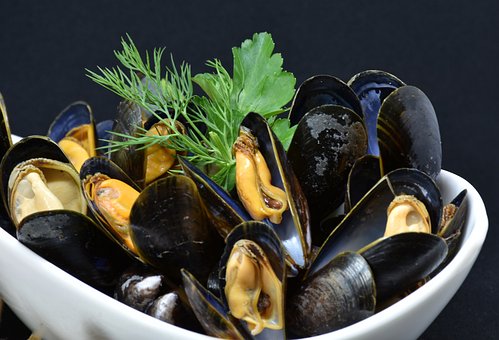 mussels-3148429__340