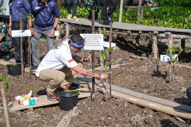 bibit-mangrove-sandiaga-uno-1024x682