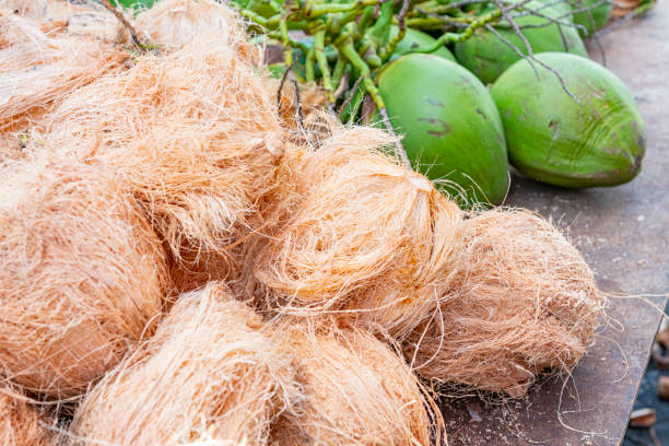 Coconuts in retail market, Reuion Island.