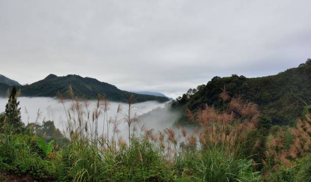 Mountains and clouds in the Hsinchu,Taiwan.