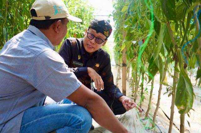 Terapkan Smart Farming, Kementan Apresiasi Petani Milenial Pasuruan