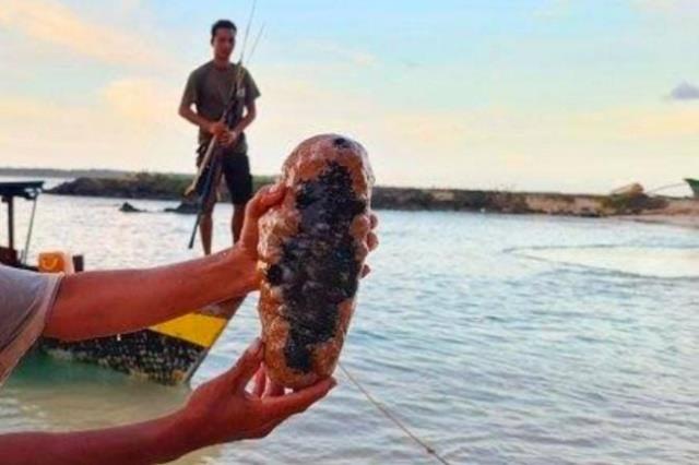 Nelayan asal Kabupaten Jepara, Provinsi Jawa Tengah