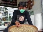 Proses penjemuran kopi organik di Desa Gunungsari, Pati, Jawa Tengah.(Panennews.com/Ahmad Muharror)
