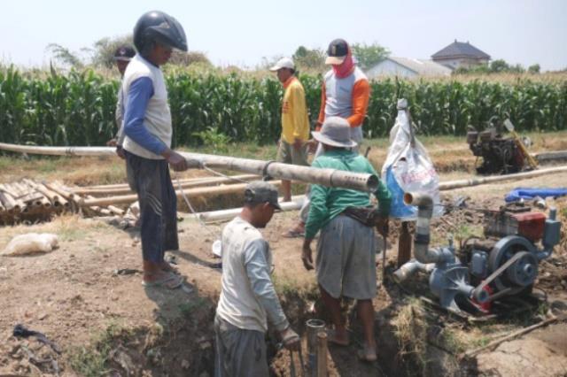 Giyarto petani jagung asal Desa Sendang, Jepara membenahi sumur. (Panennews.com/Ahmad Muharror)