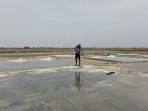 Petani garam di Kabupaten Pati, Jateng (Panennews.com/Ahmad M)