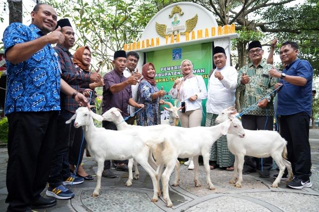 Pemkab Sleman berikan bantuan kambing untuk kembangkan BUMKal