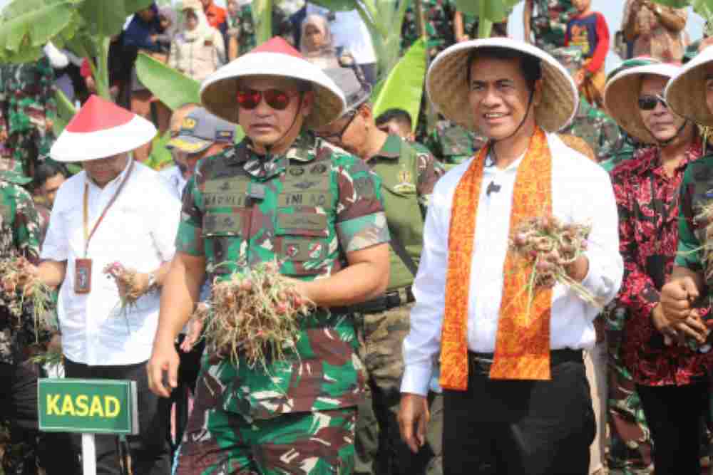 kementan-panen-bawang-merah