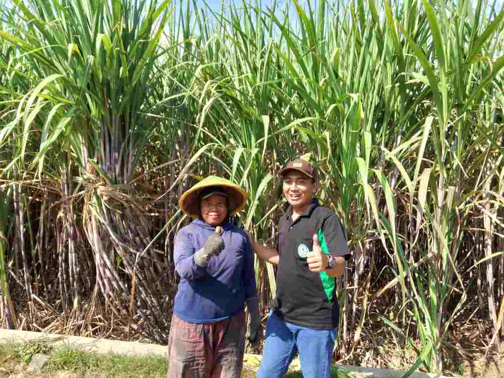 petani-tebu-kementan