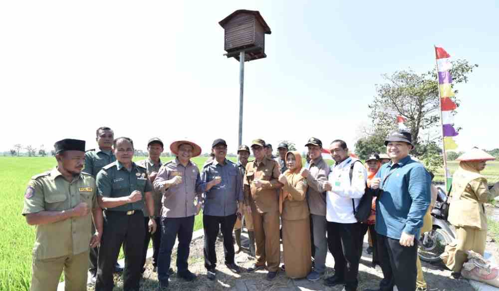 0 Kunjungi Desa Sambirejo. Dirjen Tanaman Pangan Kementan Ajak Petani Bangun Rumah Burung Hantu