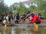 kolaborasi-kkp-bersama-pemda-dan-masyrakat-hijaukan-pesisir-pangandaran