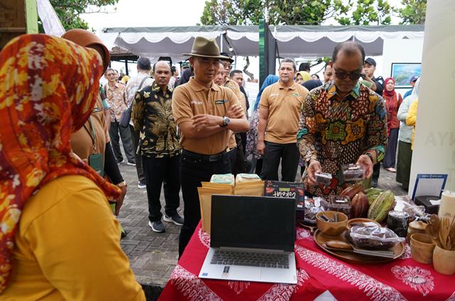 Jajaran Pemda DIY melihat hasil budidaya kakao