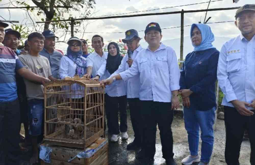 sangkar-burung-hantu-kementan