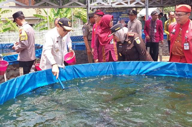 Panen ikan lele di Bumdes Lestari Desa Bangsri, Kecamatan Bangsri, Kabupaten Jepara, Provinsi Jawa Tengah. (Panennews.com/Istimewa)