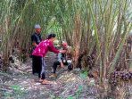 Salak madu yang dikembangkan petani Sleman