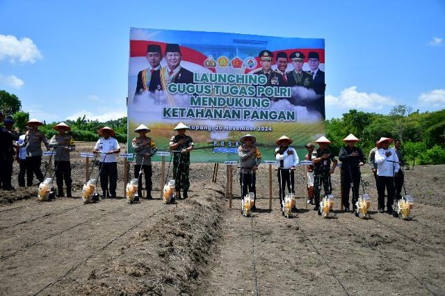 Kapolda NTT bersama pajabat instansi terkait menanam jagung di Batakte Kupang Barat