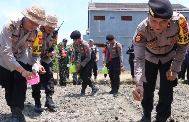 Kegiatan Polresta Denpasar menggarap lahan pertanian seluas 20 are di Subak Saba