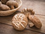 Shiitake mushroom on wooden table