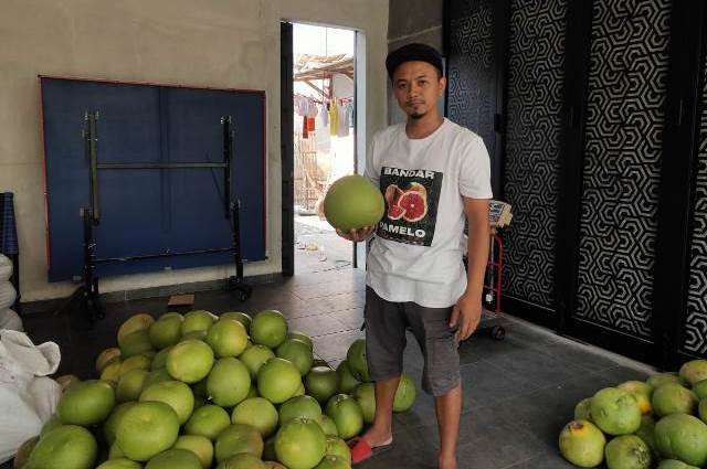 Buah pamelo khas Kecamatan Gembong