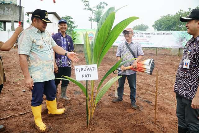 Pemkab Pati menggelar penanaman bibit kelapa kopyor