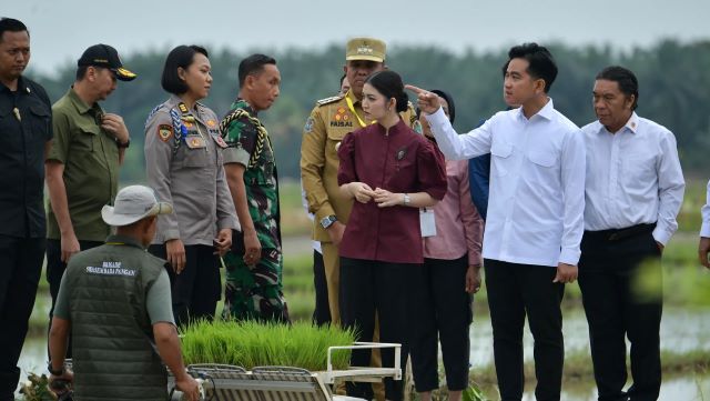 Rice-Transplanter-di-Persawahan-Langkat