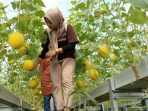 Taman wisata Kebon Ayu, Lombok Barat