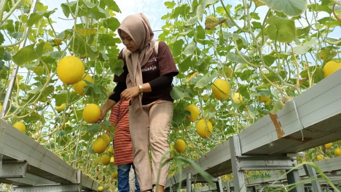 Taman wisata Kebon Ayu, Lombok Barat