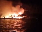 Tempat penangkaran hiu dan penangkaran ikan hiu terbakar