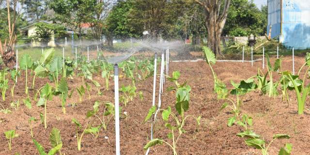 kkp-kembangkan-produktivitas-perikanan-dengan-one-stop-aquaculture-sfv