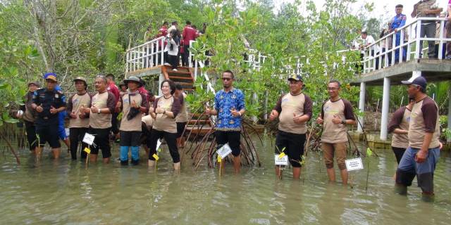 kkp-ragamkan-potensi-mangrove-di-pangandaran-jadi-lokasi-eduwisata