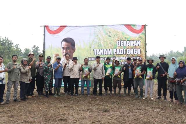 gerakan-tanam-padi-kementan