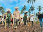 padi-gogo-kelapa-kementan