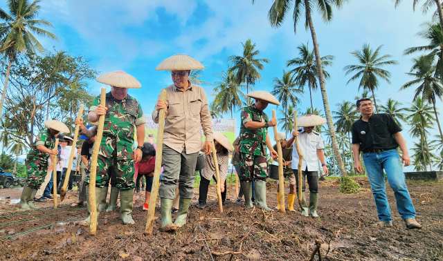 padi-gogo-kelapa-kementan