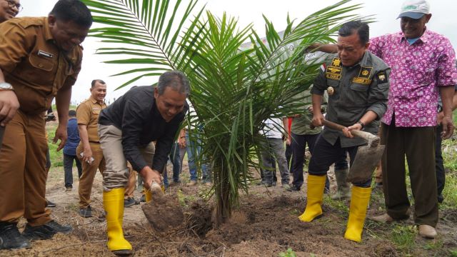 tanam-padi-gogo-kementan